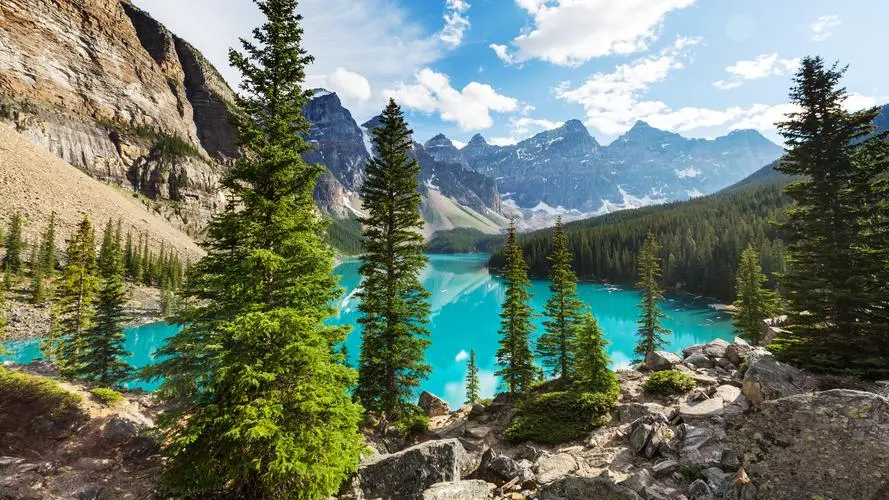 绿色智慧工厂精密